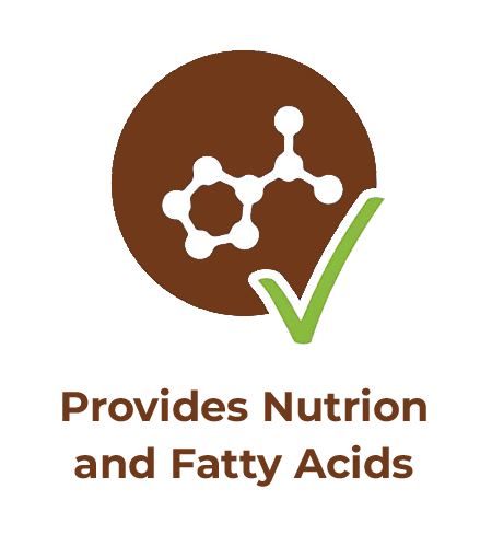 Nutrition & Fatty acid