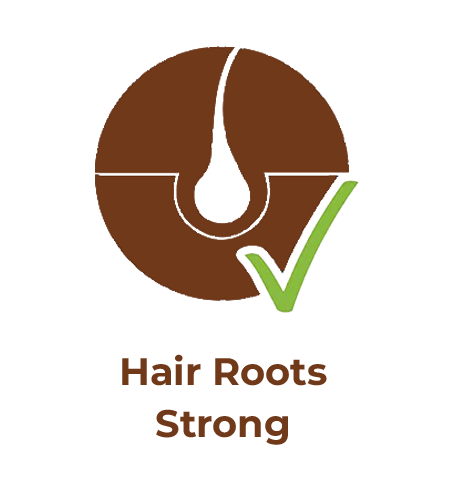 hair root strong